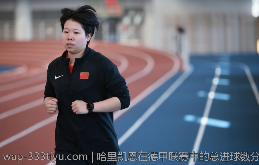 哈里凯恩在德甲联赛中的总进球数分析