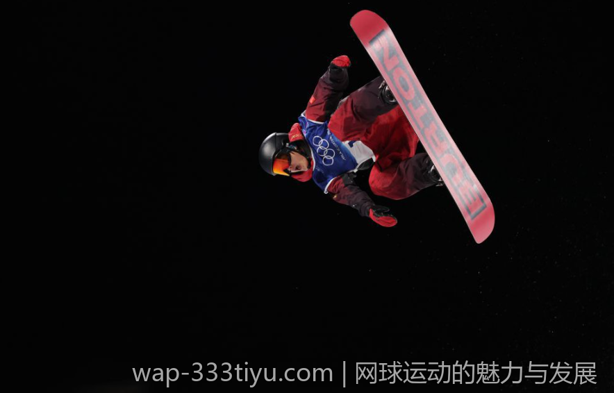 网球运动的魅力与发展