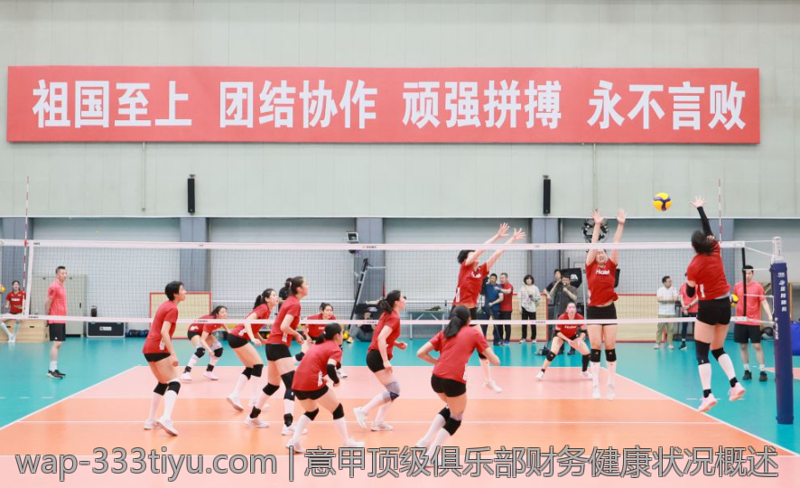 意甲顶级俱乐部财务健康状况概述