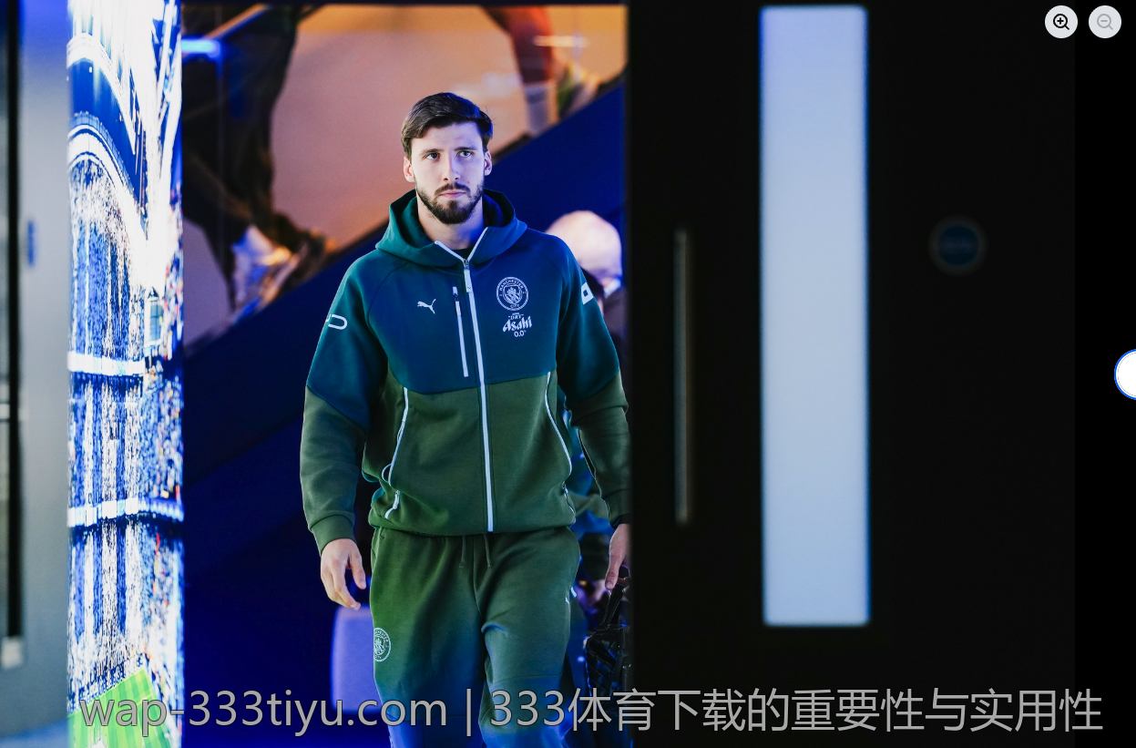 333体育下载的重要性与实用性